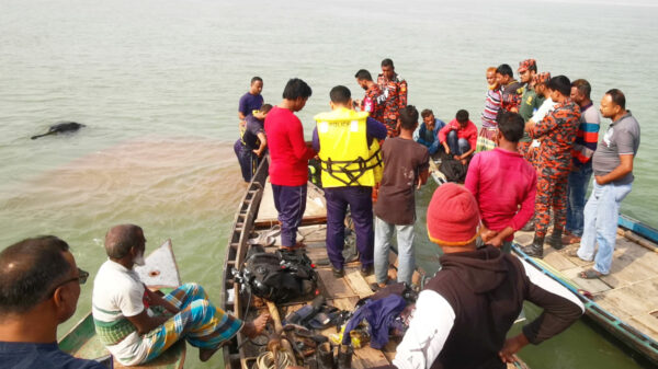 দোহারে পদ্মায় গরুসহ ট্রলার ডুবি, মামা ভাগ্নে নিখোঁজ